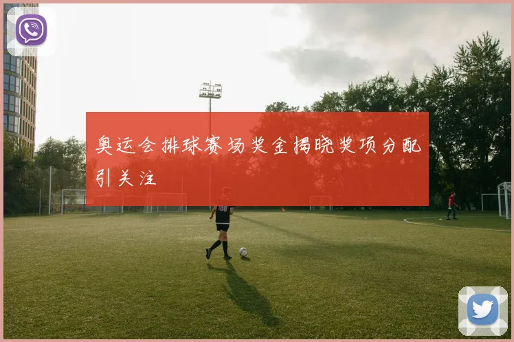奥运会排球赛场奖金揭晓奖项分配引关注