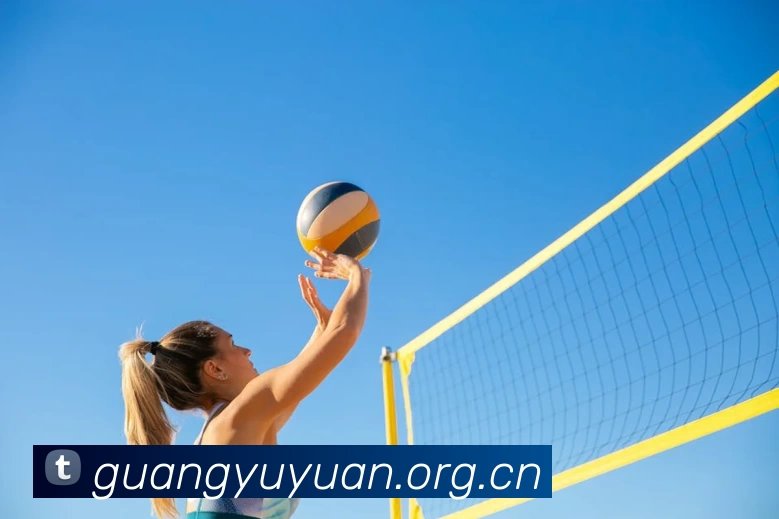 bat365在线登录入口(中国)官方网站APP 高清赛事图